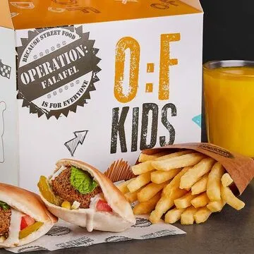 Operation Falafel falafel and salad plate